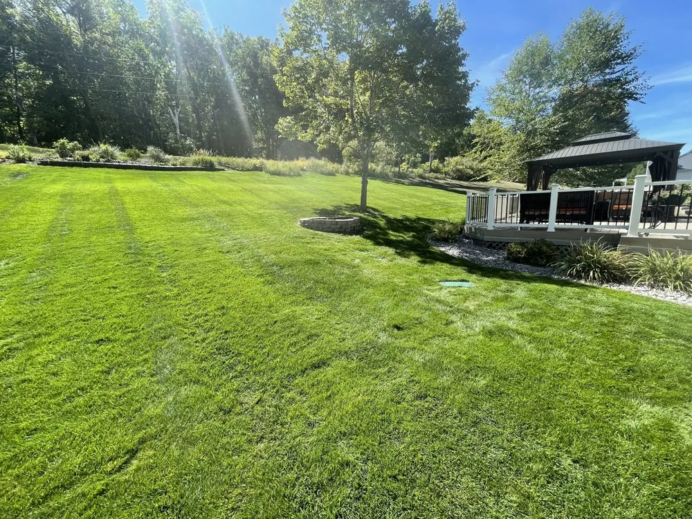 Expert yard cleanup service for outdoor upgrades across Kasson, MN - Aarons Lawn Service