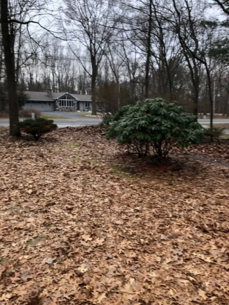 Reliable residential landscaping in Muskegon, MI by AARON'S LAWN SERVICE