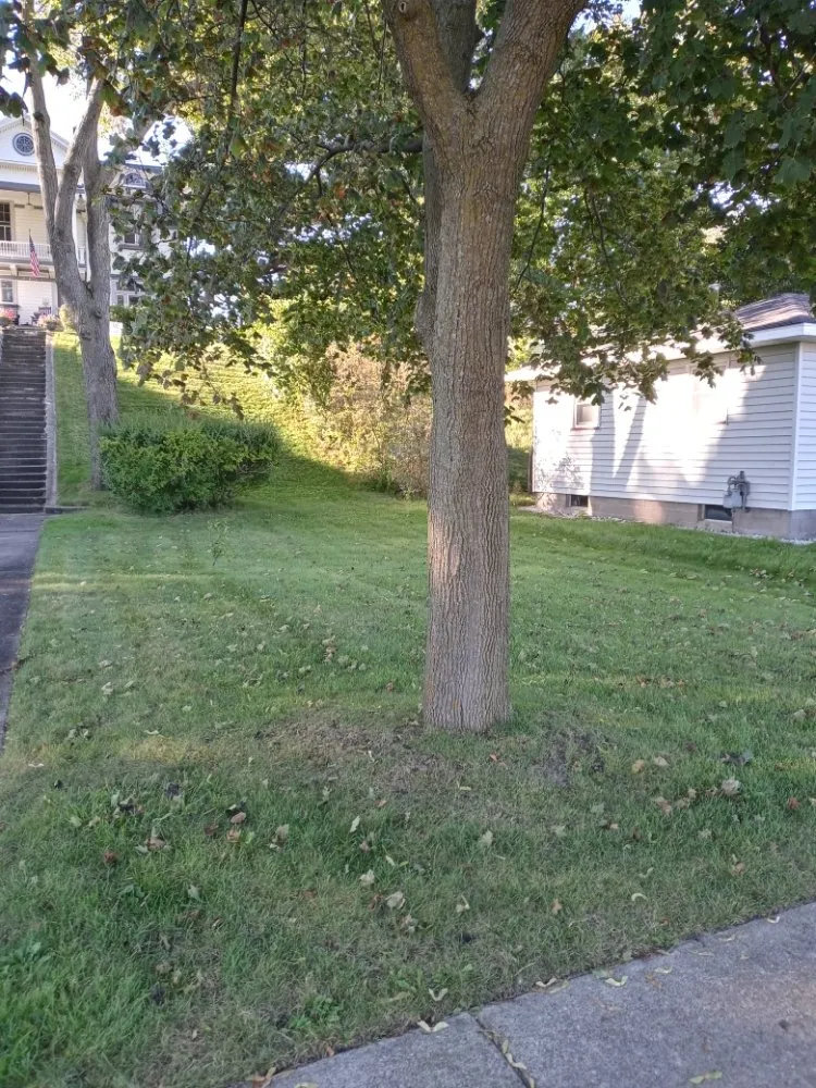 Top-rated yard maintenance experts serving Muskegon, MI - AARON'S LAWN SERVICE