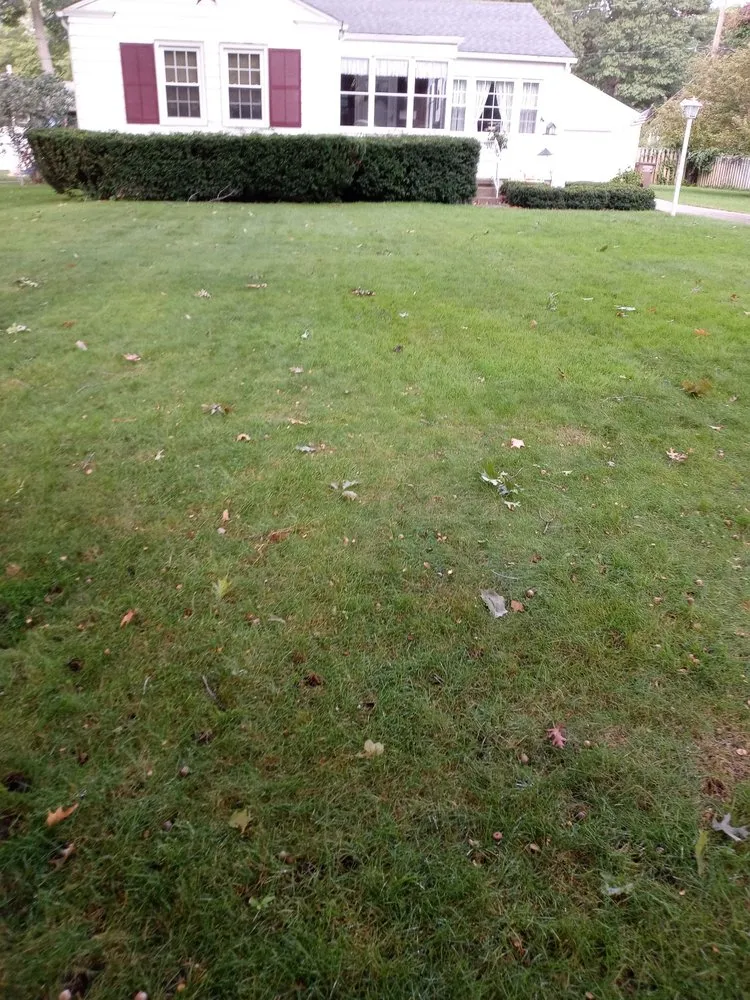Top-rated yard cleanup service for residential properties across Muskegon, MI - AARON'S LAWN SERVICE