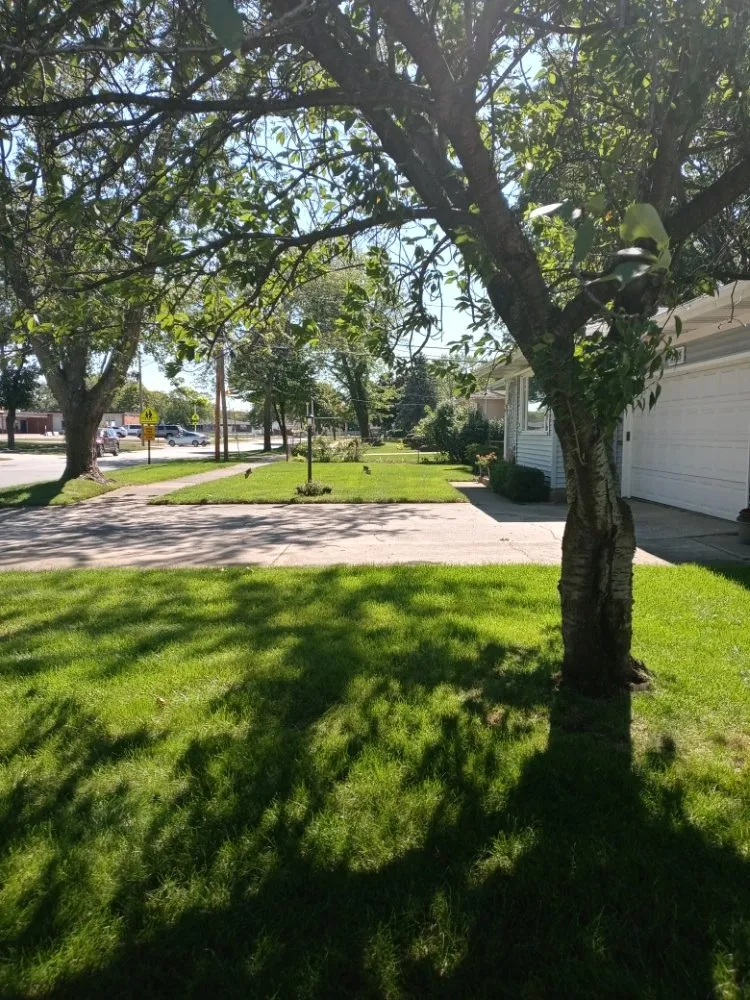 Professional landscape installation experts serving Muskegon, MI - AARON'S LAWN SERVICE