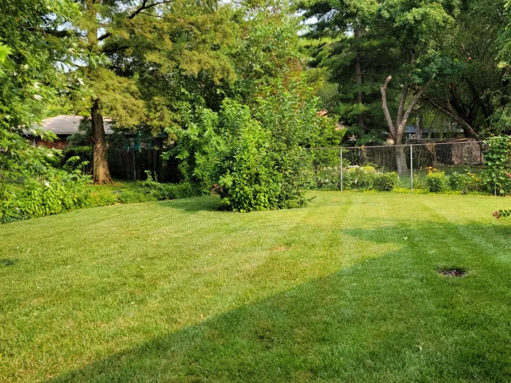 Expert lawn care service for beautiful yards in Wichita, KS by Aaron's Lawn Service