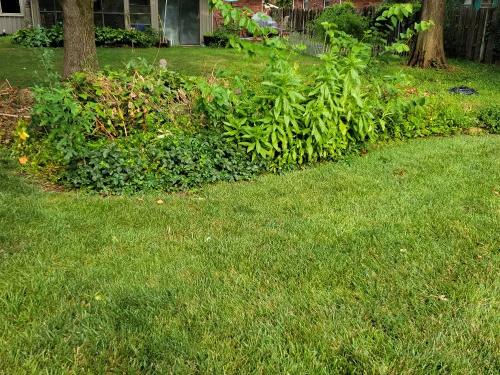 Top-rated landscape installation in Wichita, KS by Aaron's Lawn Service