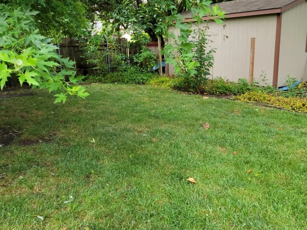 Top-rated residential landscaping experts serving Wichita, KS - Aaron's Lawn Service