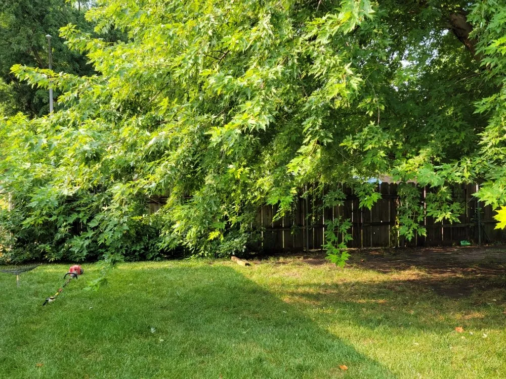 Custom landscape installation experts serving Wichita, KS - Aaron's Lawn Service