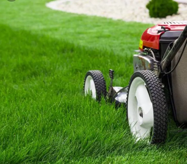 Reliable lawn mowing service in Violet, LA by Aarons Lawns