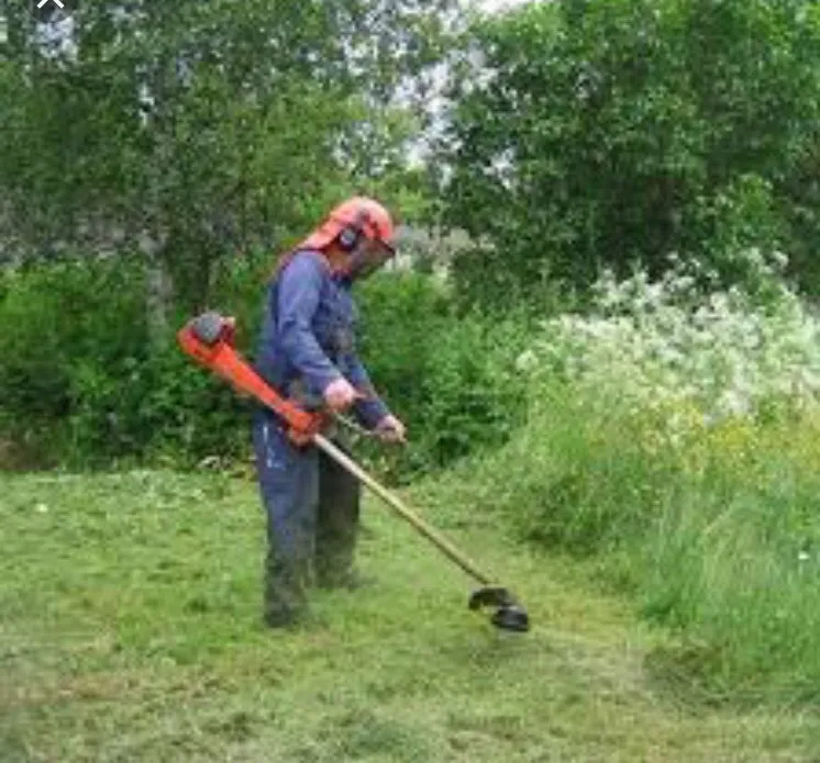 Custom outdoor landscaping for year-round maintenance in Violet, LA by Aarons Lawns