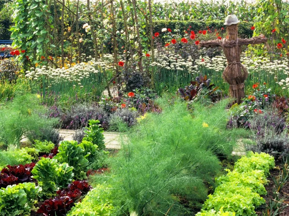 Trusted landscape design with custom design in Fort Pierce, FL by Aaron's Multiservices