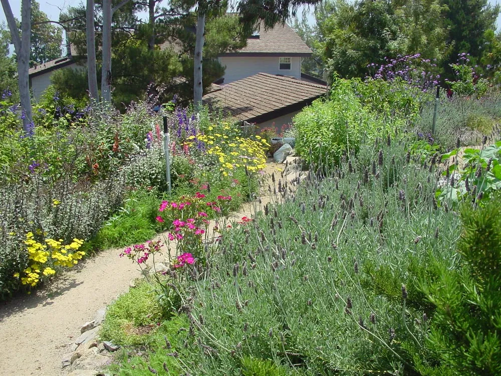 Custom outdoor landscaping in Mission Viejo, CA - Aaron's Natural Landscaping
