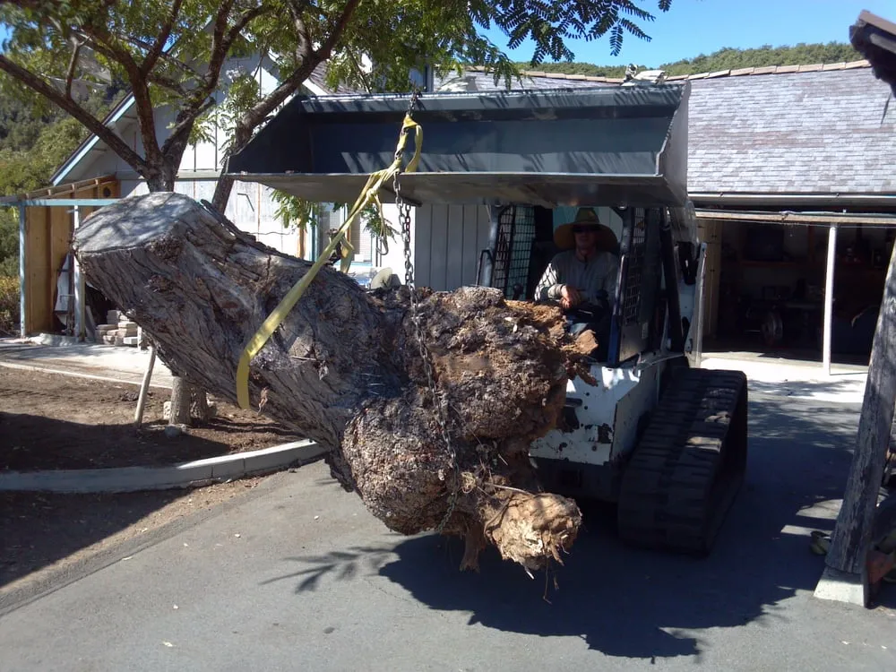 Expert yard cleanup service experts serving Mission Viejo, CA - Aaron's Natural Landscaping