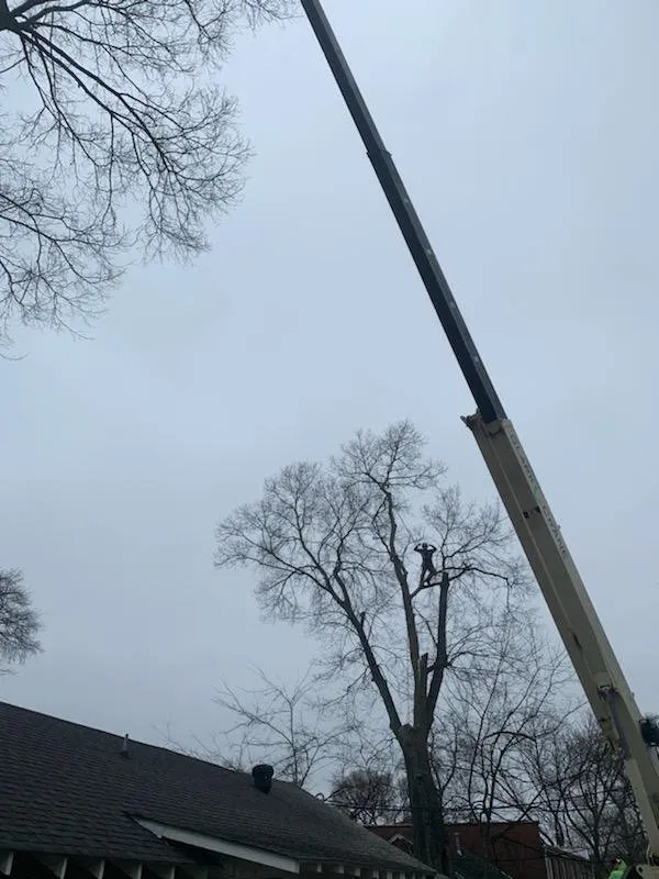 Reliable landscaping services in Lebanon, TN by Aaron's Outdoors Tree Service