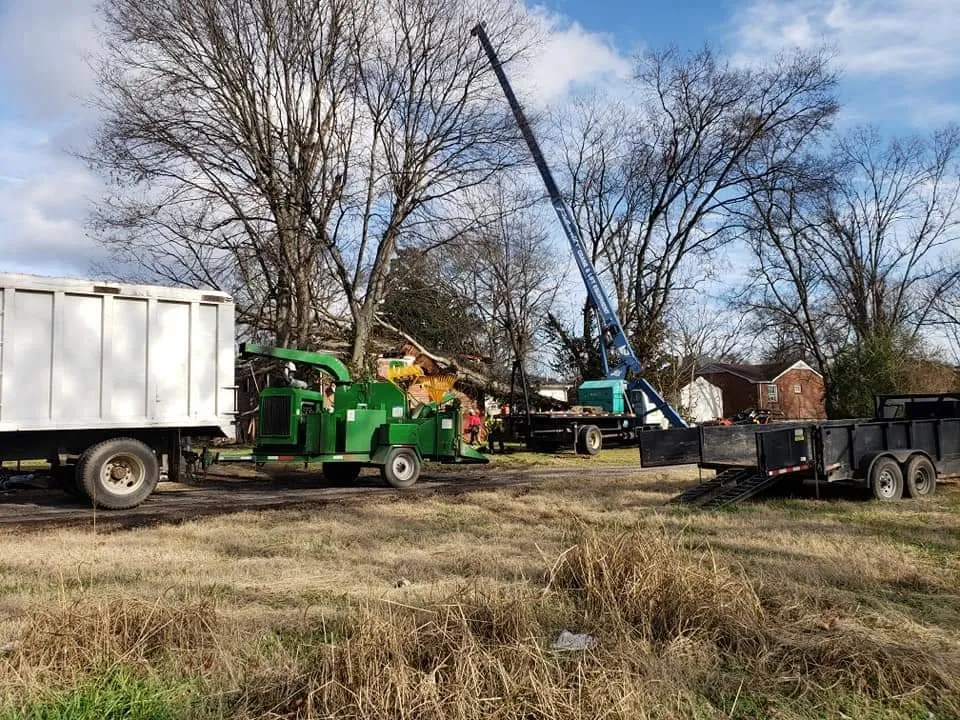 Affordable landscape installation in Lebanon, TN by Aaron's Outdoors Tree Service