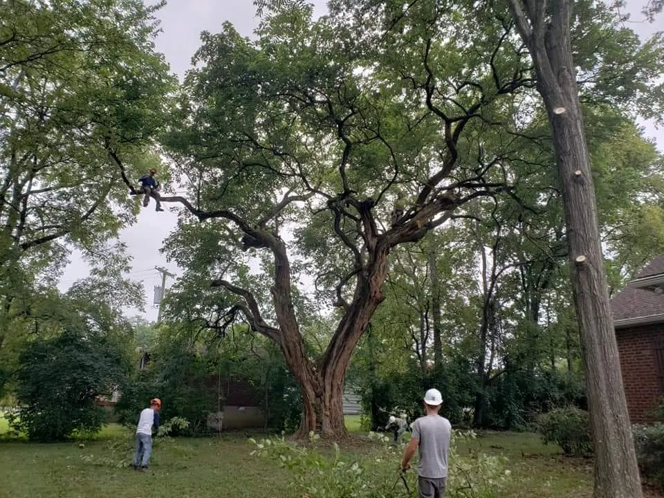 Custom landscape design for residential properties across Lebanon, TN - Aaron's Outdoors Tree Service
