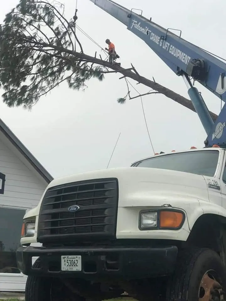 Top-rated garden landscaping experts serving Lebanon, TN - Aaron's Outdoors Tree Service