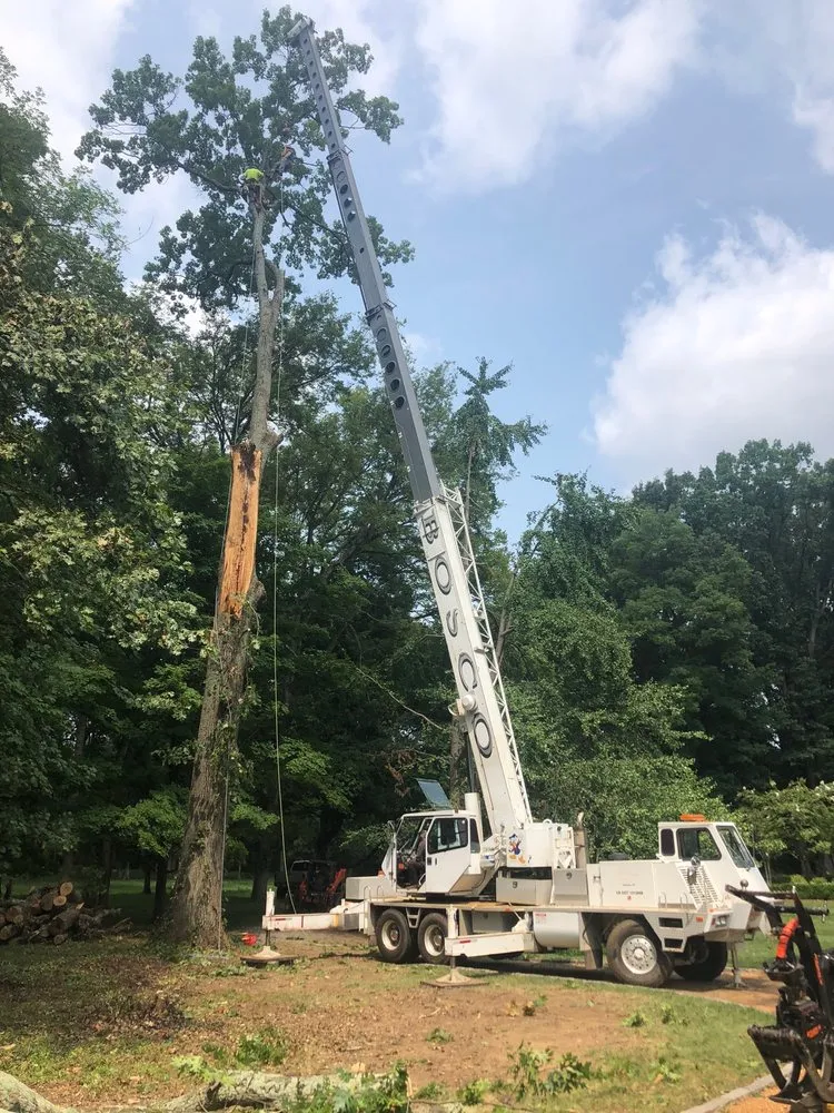 Local lawn care service for residential properties in Lebanon, TN by Aaron's Outdoors Tree Service