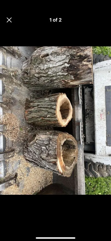 Custom yard maintenance experts serving Dayton, OH - Aaron's Tree & Landscaping Services