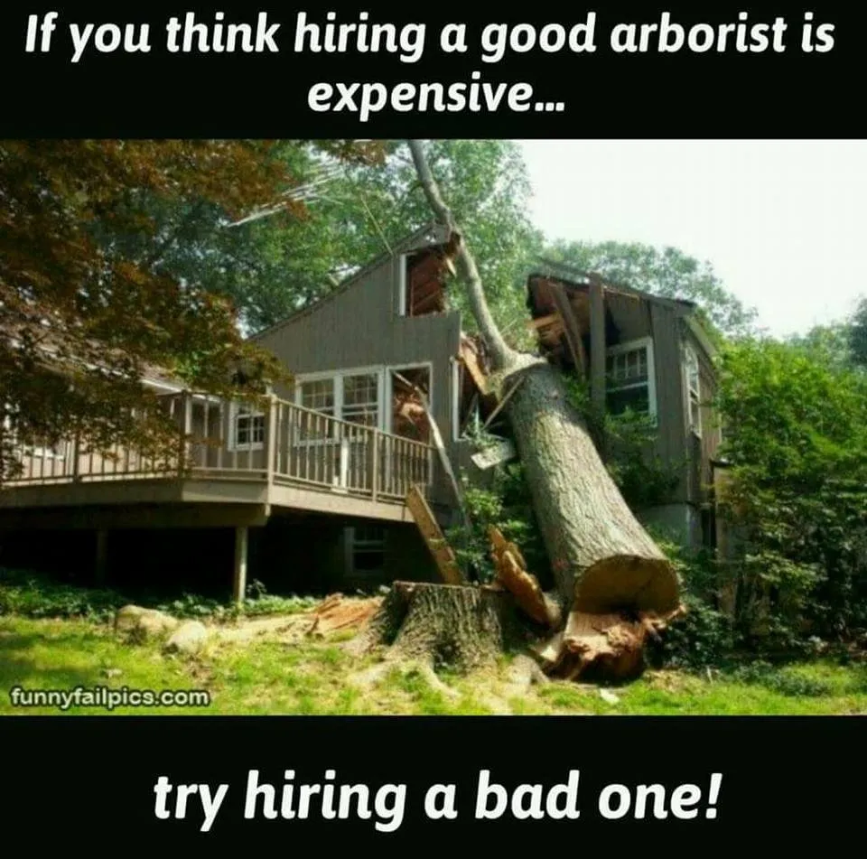 Affordable residential landscaping near you in Dayton, OH by Aaron's Tree & Landscaping Services