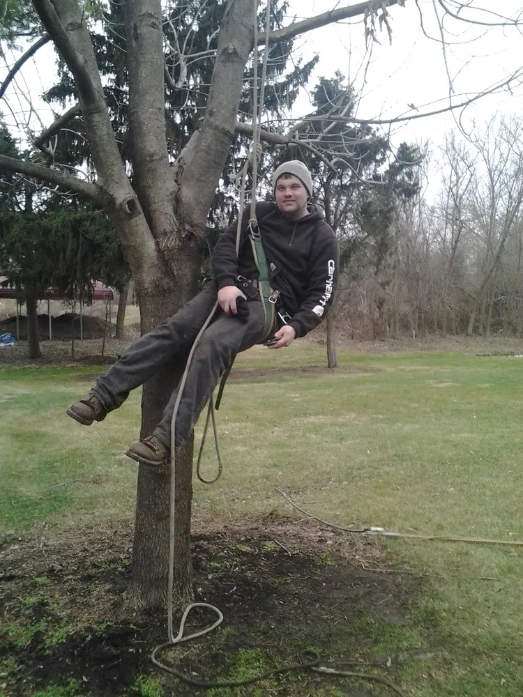 Trusted yard maintenance in Dayton, OH by Aaron's Tree & Landscaping Services