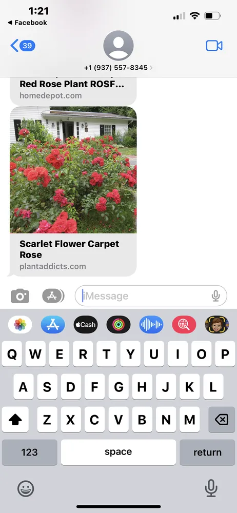 Professional landscaping services in Dayton, OH - Aaron's Tree & Landscaping Services