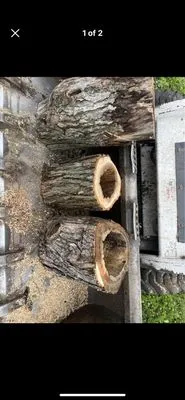 Aaron's Tree & Landscaping Services Logo