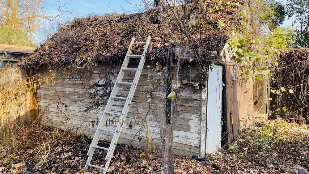 Trusted garden landscaping for beautiful yards in Paradise, CA by Aarons Yard Care