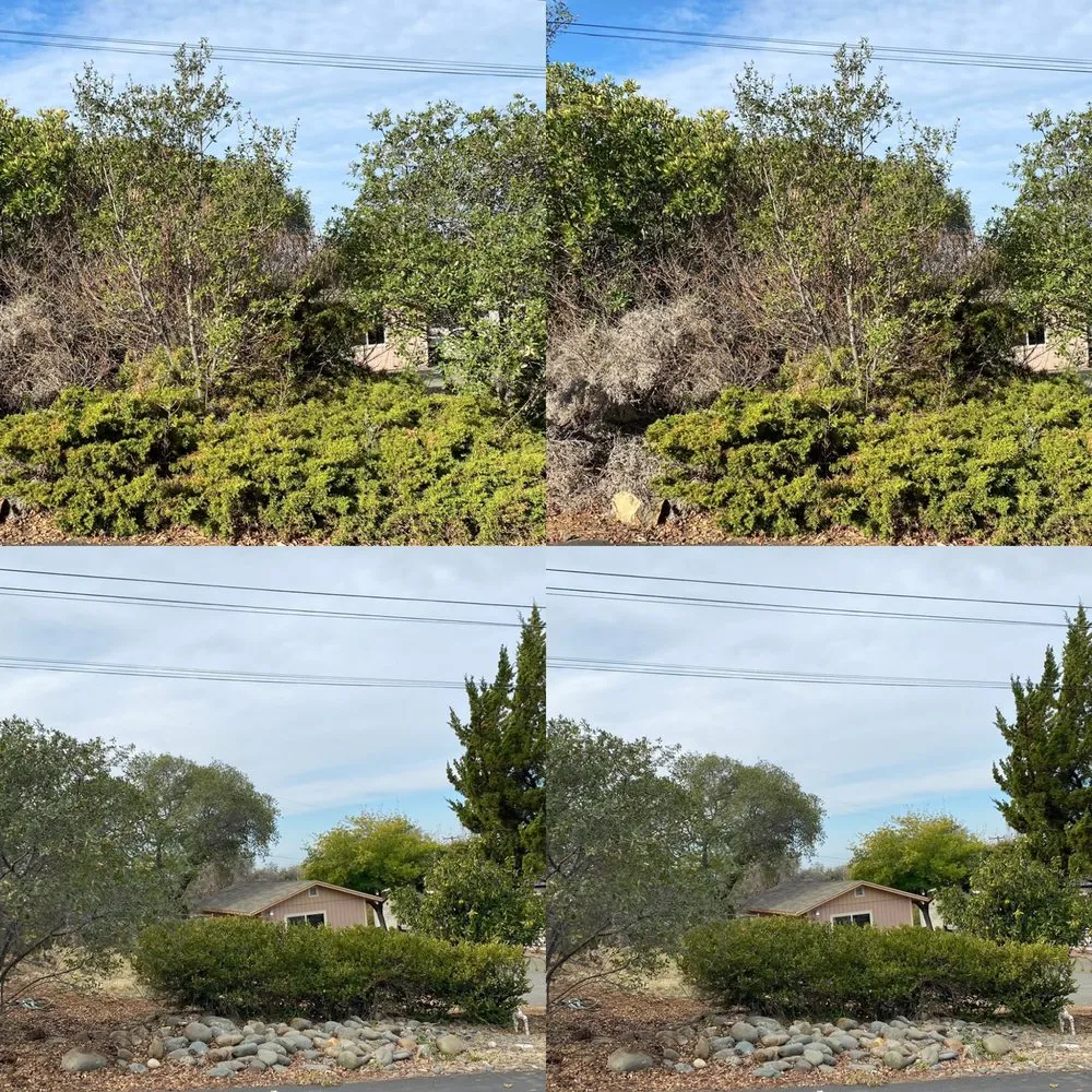 Top-rated garden landscaping with custom design across Paradise, CA - Aarons Yard Care