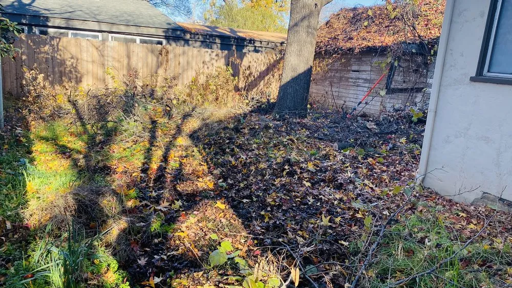 Affordable yard maintenance near you across Paradise, CA - Aarons Yard Care