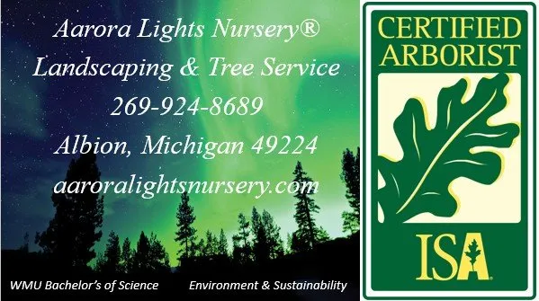 Affordable lawn care service in Albion, MI - Aarora Lights Nursery Landscaping & Tree Service