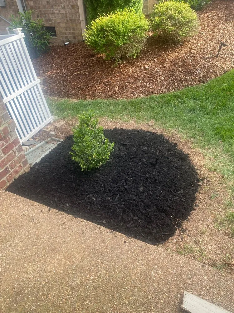 Trusted landscape installation for outdoor upgrades in Clarksville, TN by A&A’s Landscaping
