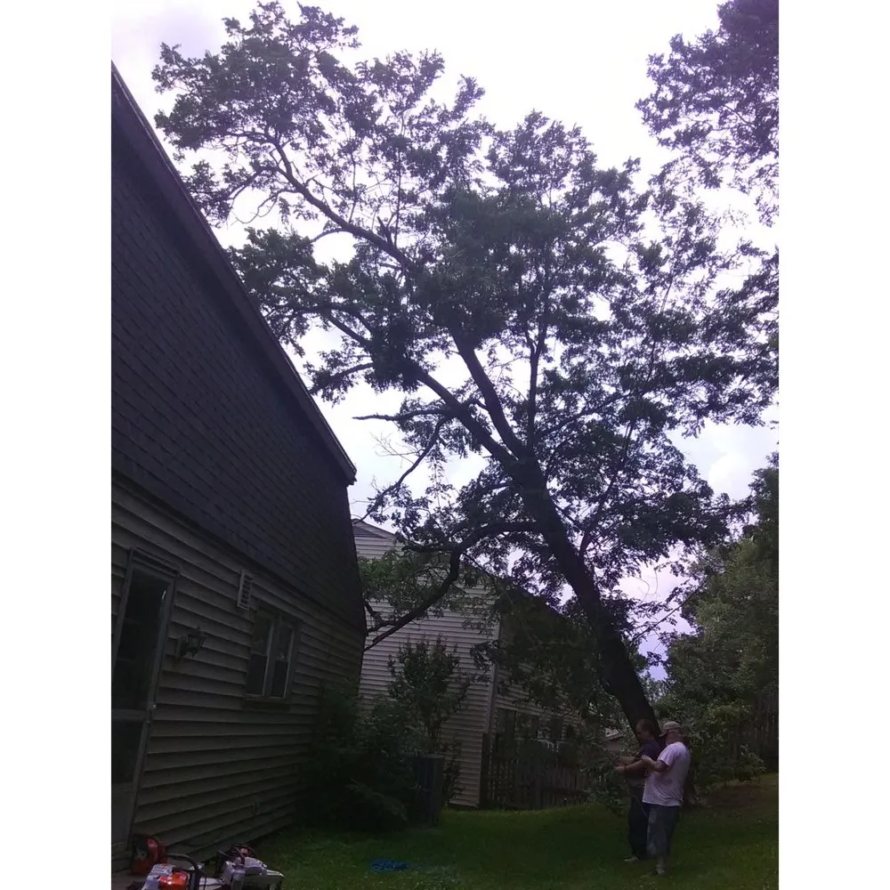 Expert lawn care service in Kingston Springs, TN by A&B American Tree Service