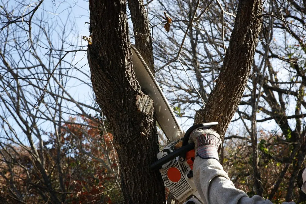 Expert yard maintenance in Kingston Springs, TN - A&B American Tree Service