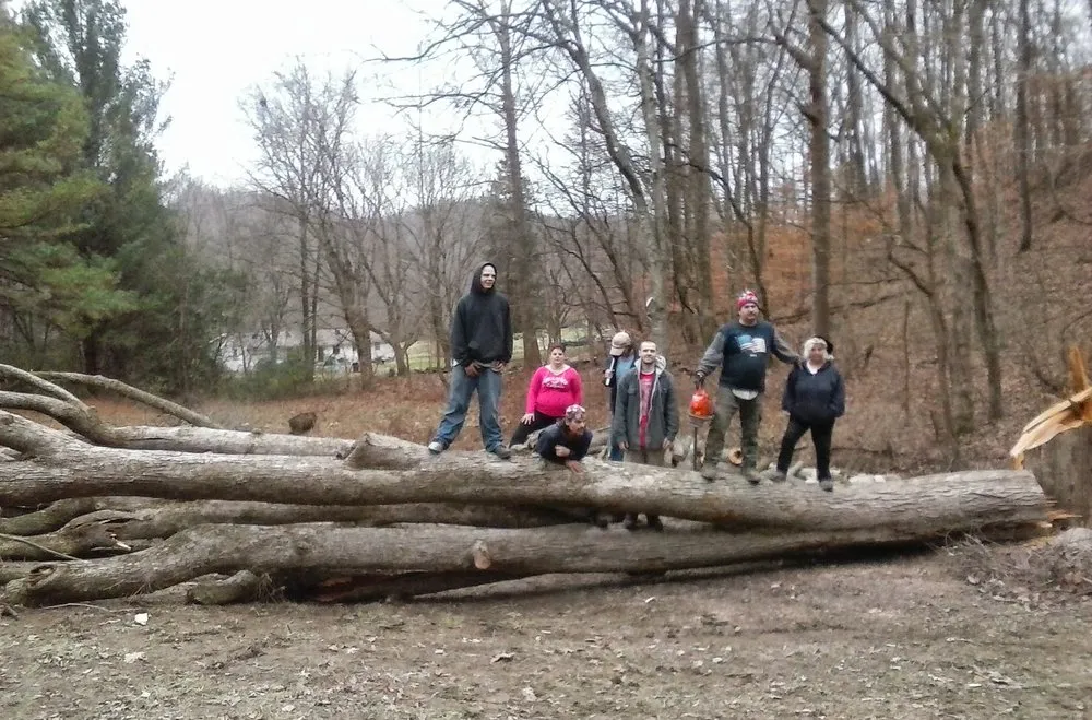 Affordable outdoor landscaping in Kingston Springs, TN by A&B American Tree Service