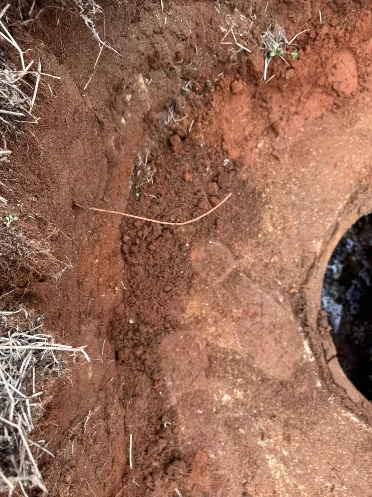 Top-rated yard cleanup service for residential properties across Pike Road, AL - AB Contracting And Landscaping