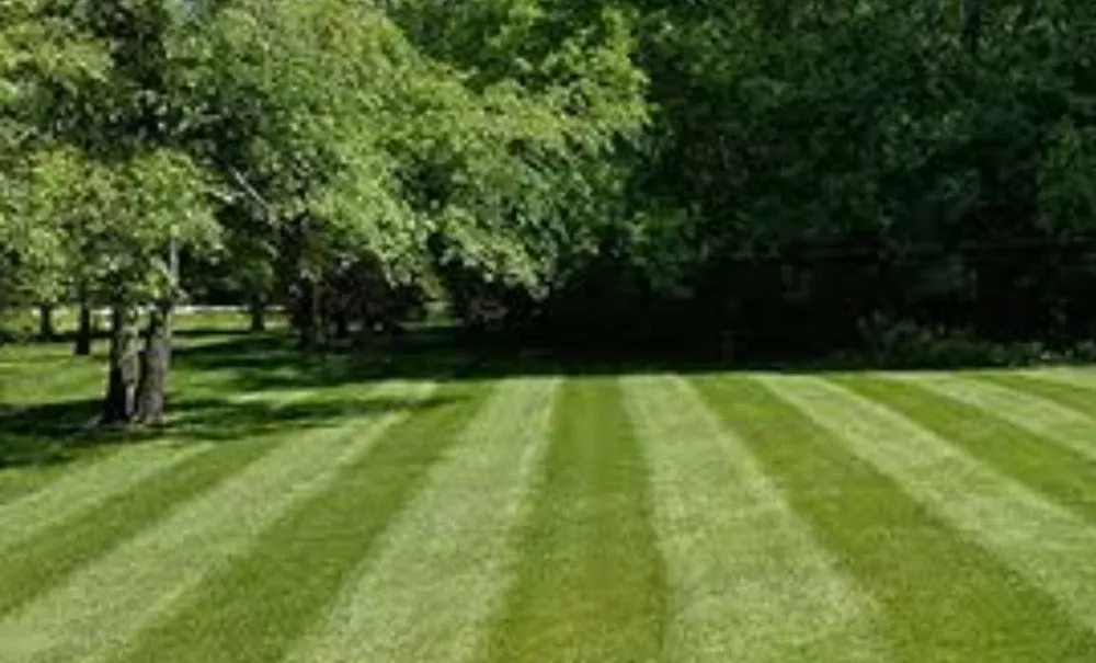 Local landscape design for homes across Cedar Lake, IN - AB Cut'z