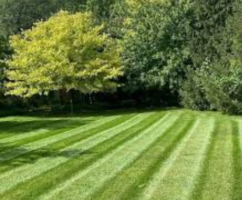 Top-rated residential landscaping near you in Cedar Lake, IN by AB Cut'z