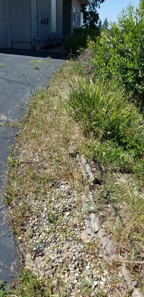 Top-rated landscape design for homes across Walnut Creek, CA - AB Gardening Services