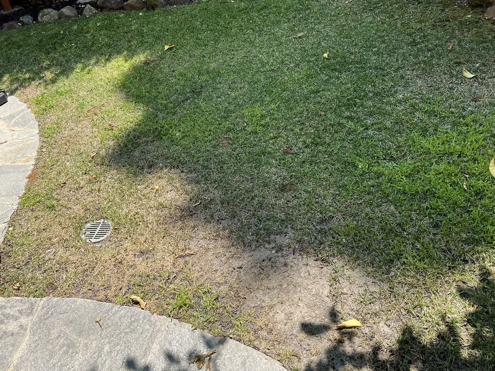 Affordable residential landscaping for residential properties across Walnut Creek, CA - AB Gardening Services