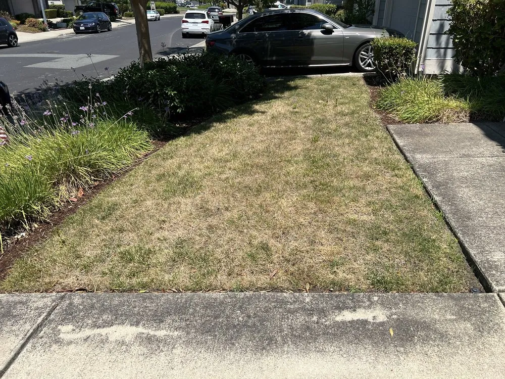 Expert landscape design in Walnut Creek, CA - AB Gardening Services