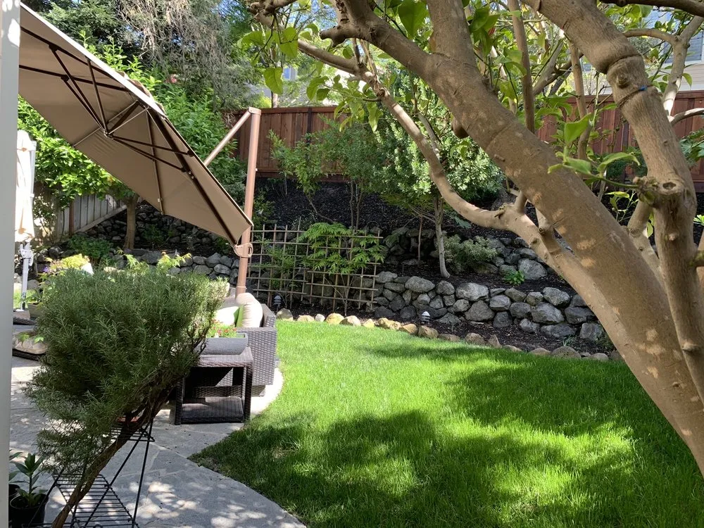 Local landscape installation in Walnut Creek, CA by AB Gardening Services