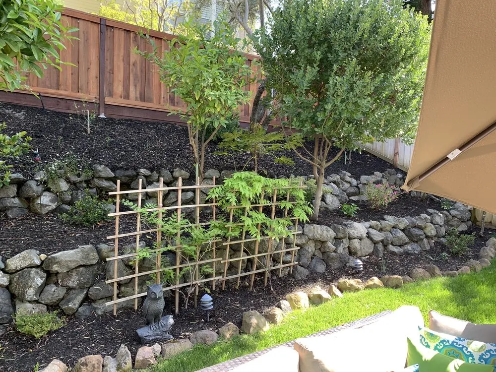 Custom lawn mowing service for residential properties in Walnut Creek, CA by AB Gardening Services