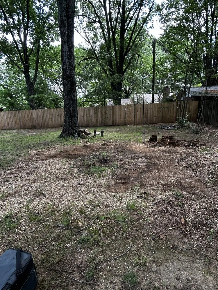 Top-rated residential landscaping for year-round maintenance in Conway, AR by AB Gonzalez Landscape