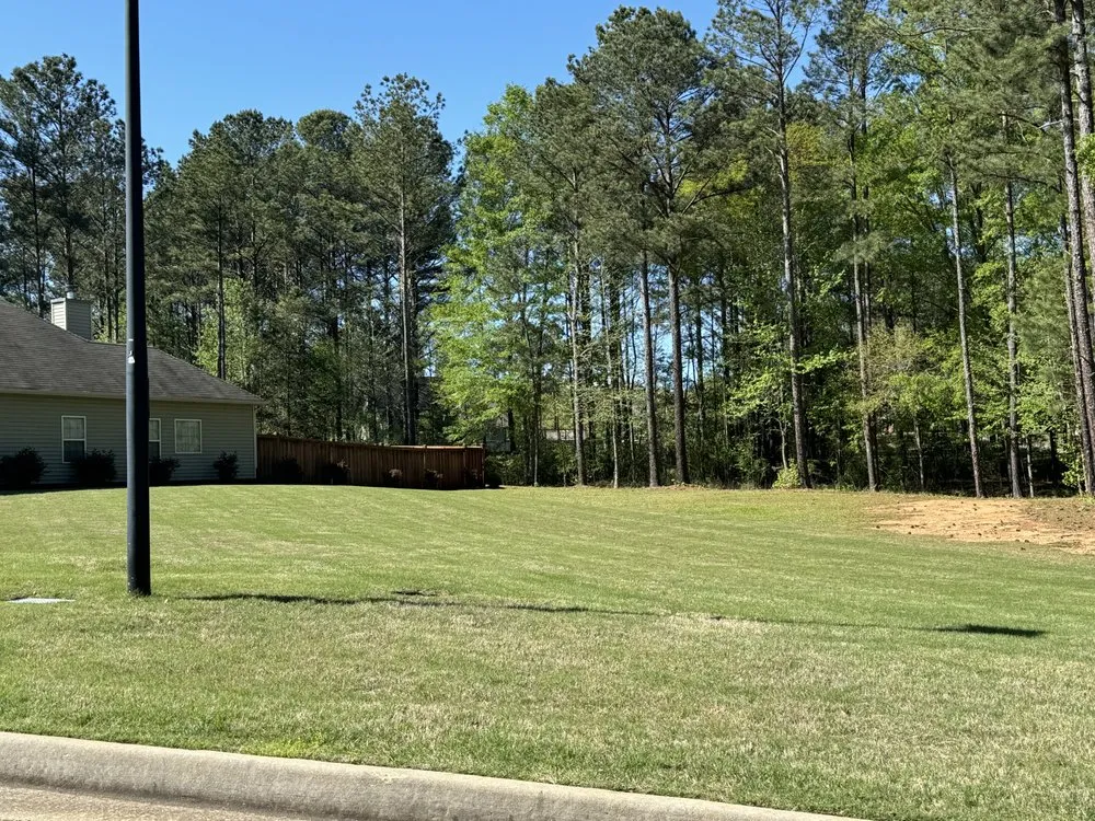 Custom yard maintenance for year-round maintenance across McDonough, GA - AB Ground Maintenance