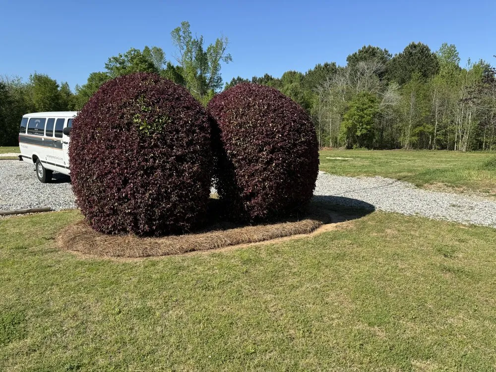 Custom outdoor landscaping experts serving McDonough, GA - AB Ground Maintenance