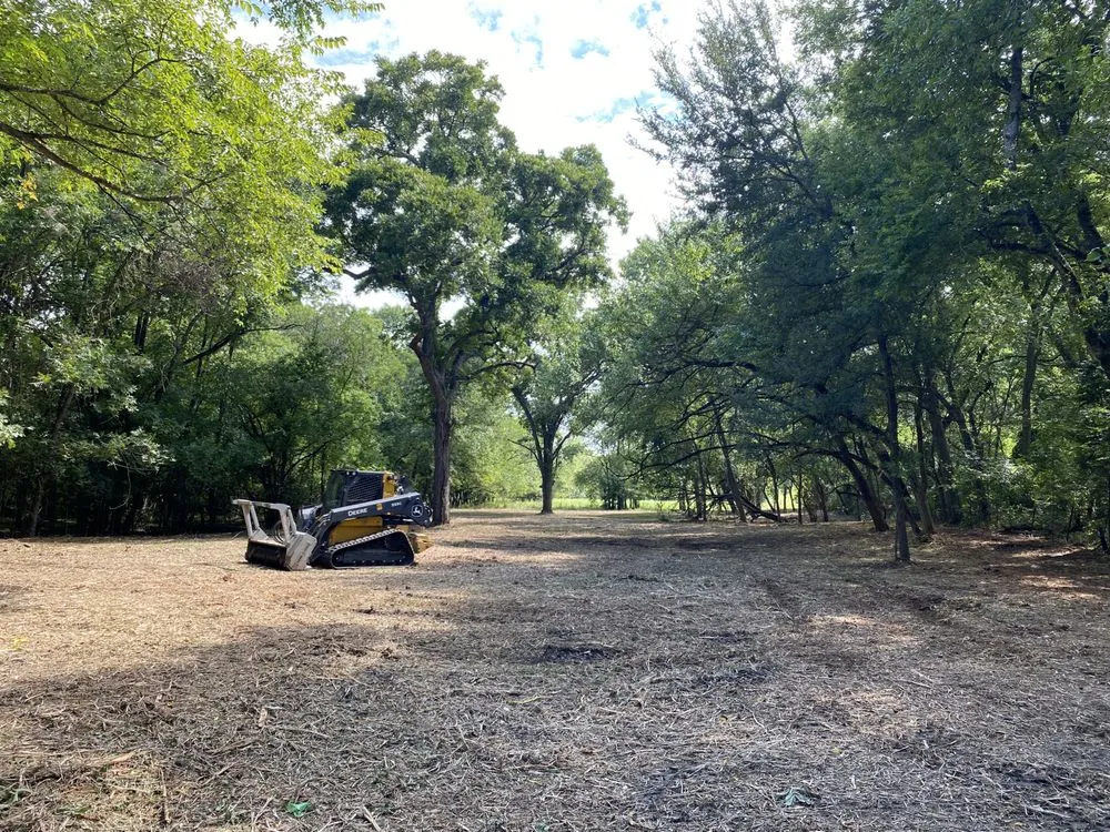 Top-rated landscape design in Pattonville, TX by AB Land Clearing