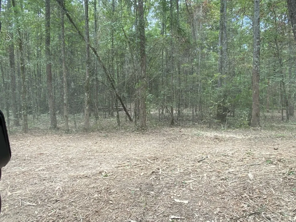 Affordable landscape design for outdoor upgrades in Pattonville, TX by AB Land Clearing