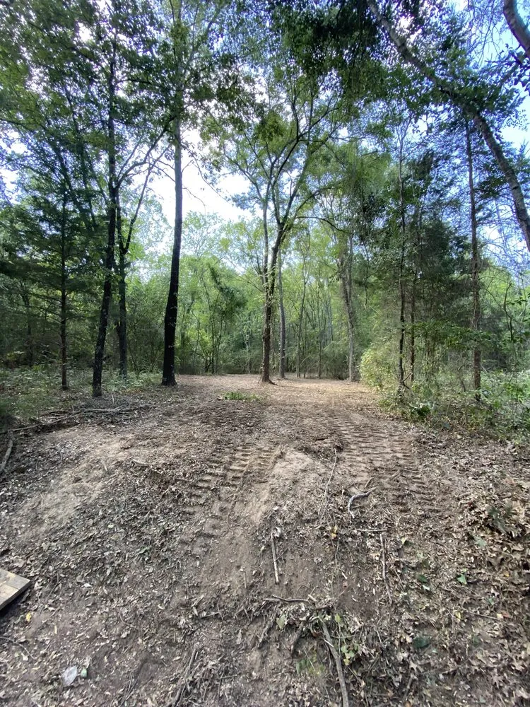 Top-rated garden landscaping for year-round maintenance in Pattonville, TX by AB Land Clearing