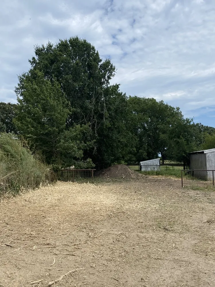 Expert lawn care service for outdoor upgrades across Pattonville, TX - AB Land Clearing