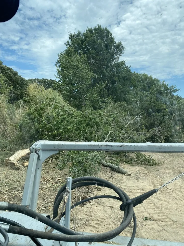 Local lawn mowing service for residential properties across Pattonville, TX - AB Land Clearing