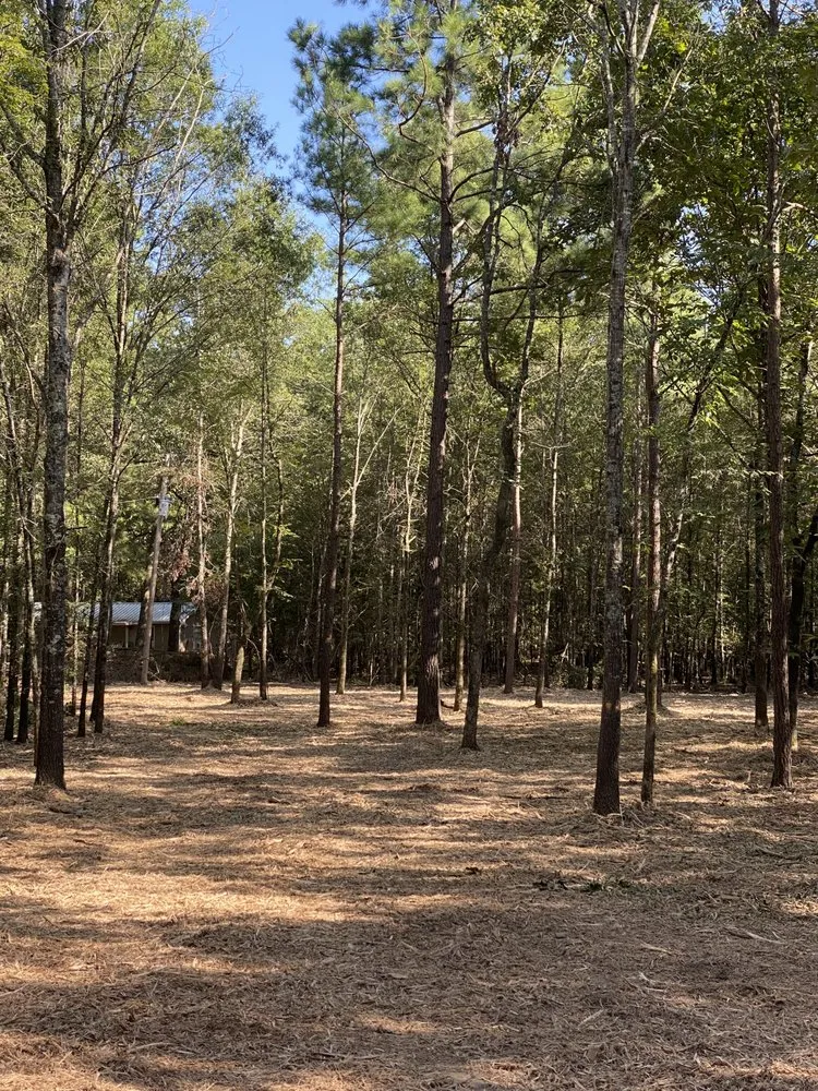 Local garden landscaping for homes across Pattonville, TX - AB Land Clearing