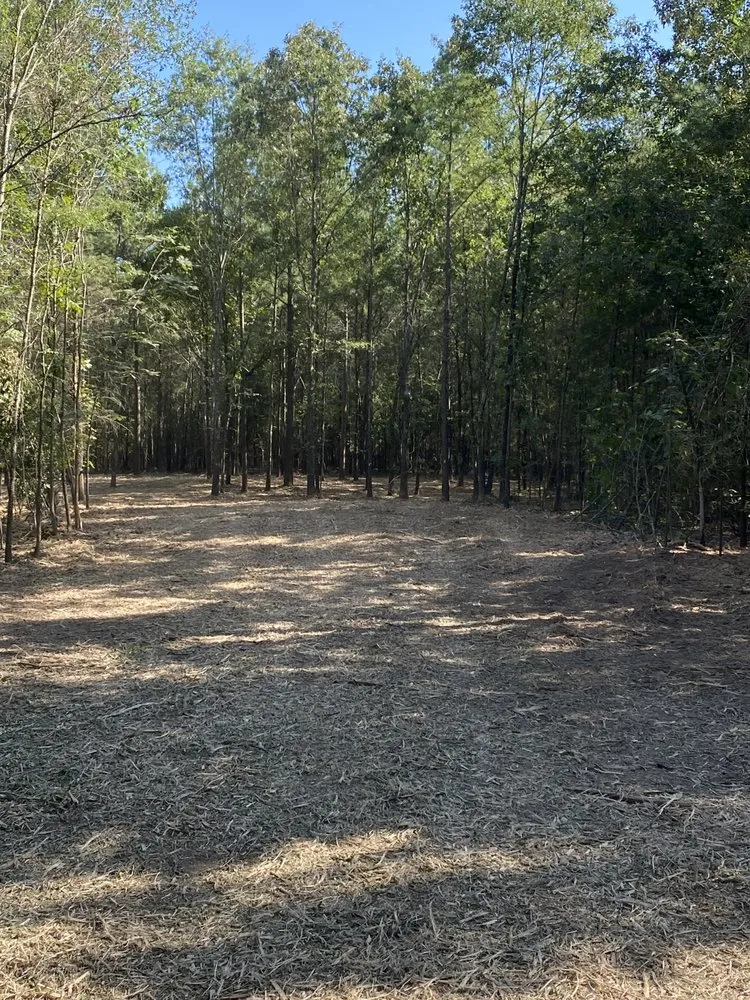 Trusted lawn mowing service in Pattonville, TX by AB Land Clearing